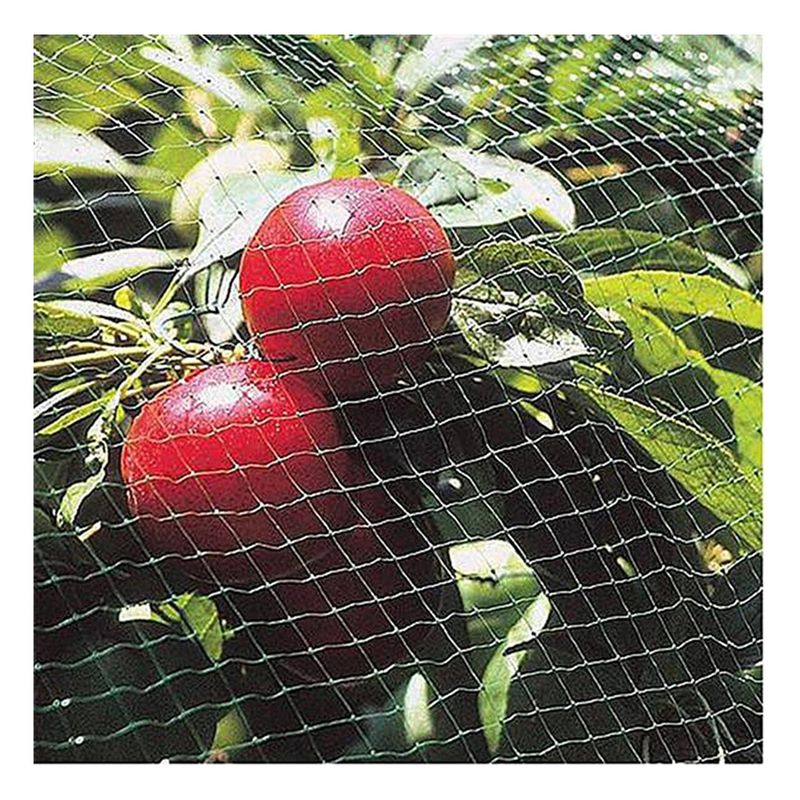 Casa si Gradina - Gradina si terasa - Mobilier exterior - Accesorii pentru gradina - Plasa pvc contra pasarilor, verde inchis, 12x25 m - Infinity.ro