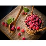 Casa si Gradina - Gradinarit si plante - Instalatii si accesorii pentru irigatii - Accesorii irigare - Kit irigare pentru cultura zmeur, mur si afin - Infinity.ro