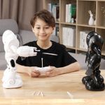 Jucarii, Copii si Bebe - Jucarii si jocuri - Vehicule si jucarii cu telecomanda - Roboti de jucarie - Silverit robo blast robot - Infinity.ro