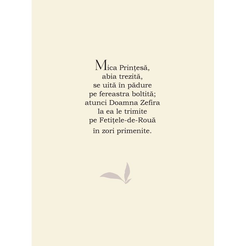 Carti si Birotica - Carti - Carti pentru copii - Basme si povesti - Printesa si Copiii Padurii - Infinity.ro