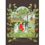 Carti si Birotica - Carti - Carti pentru copii - Basme si povesti - Printesa si Copiii Padurii - Infinity.ro