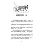 Carti si Birotica - Carti - Carti pentru copii - Basme si povesti - Cititoarea de suflete (Usborne) - Infinity.ro