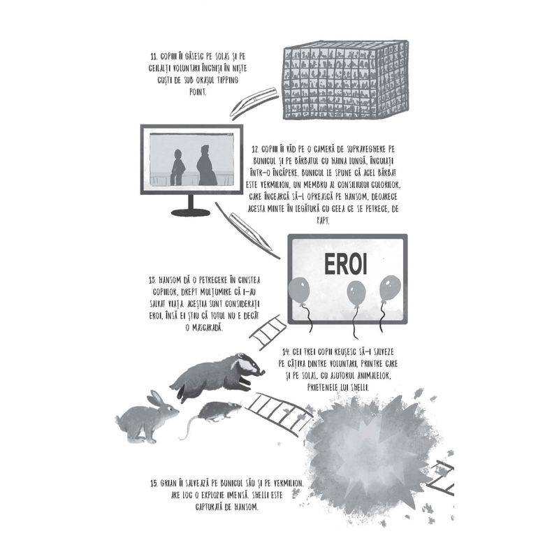 Carti si Birotica - Carti - Carti pentru copii - Basme si povesti - Hotii luminii. Oglinda intunecata (Usborne) - Infinity.ro