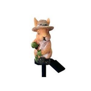 Casa si Gradina - Corpuri si surse de iluminat - Infinity.ro