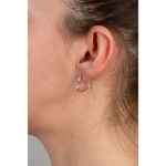Fashion, accesorii si bijuterii - Femei - Bijuterii femei - Cercei femei - Cercei Diora, in Forma de Inima, din Argint - Infinity.ro