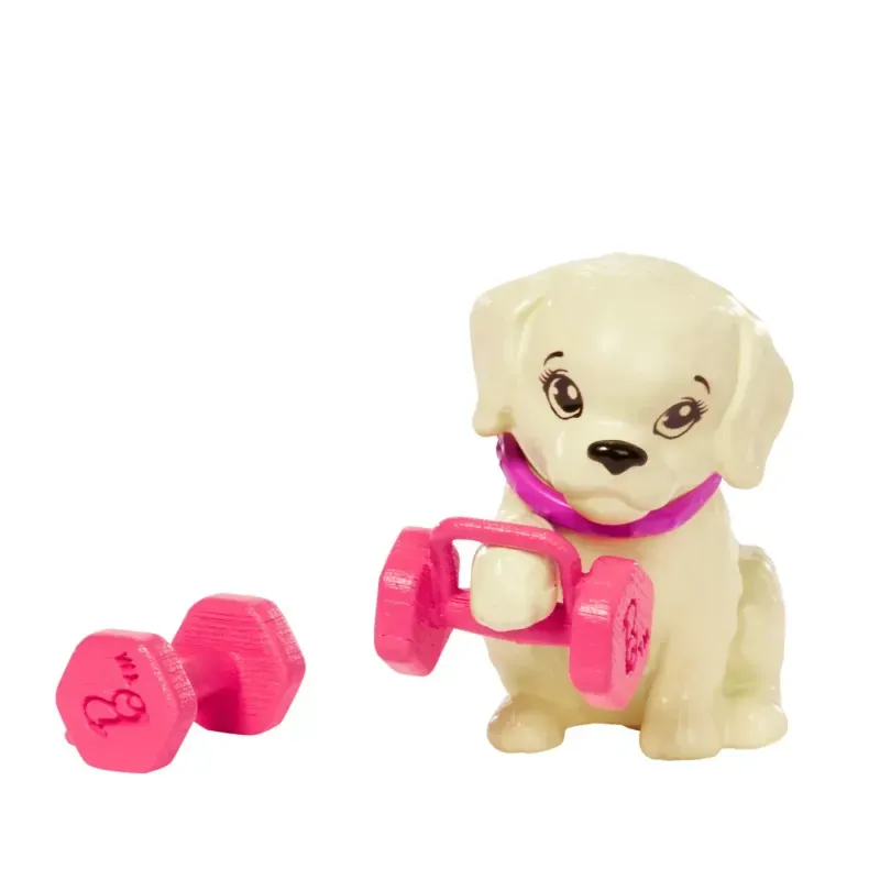 Jucarii, Copii si Bebe - Jucarii si jocuri - Papusi si accesorii - Papusi - Barbie Set De Joaca Cu Accesorii Papusa Barbie Sportiva - Infinity.ro