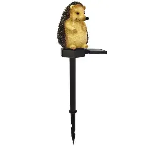 Casa si Gradina - Corpuri si surse de iluminat - Iluminat exterior - Infinity.ro