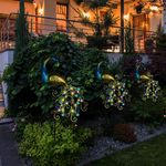 Casa si Gradina - Corpuri si surse de iluminat - Iluminat exterior - Lampi solare - Lampa Solara Exterior, LED RGB, Panou Solar 180° Mobil, Decor Paun cu Tarus, Gradina/Curte, Senzor Amurg, IP44 - Infinity.ro