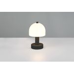 Casa si Gradina - Corpuri si surse de iluminat - Veioze si lampi - Veioze - Veioza Trio Glenn, 10W, 1xE14, Negru Mat, IP20 - Infinity.ro