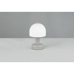 Casa si Gradina - Corpuri si surse de iluminat - Veioze si lampi - Veioze - Veioza Trio Glenn, 10W, 1xE14, Gri, IP20 - Infinity.ro