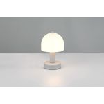 Casa si Gradina - Corpuri si surse de iluminat - Veioze si lampi - Veioze - Veioza Trio Glenn, 10W, 1xE14, Gri, IP20 - Infinity.ro