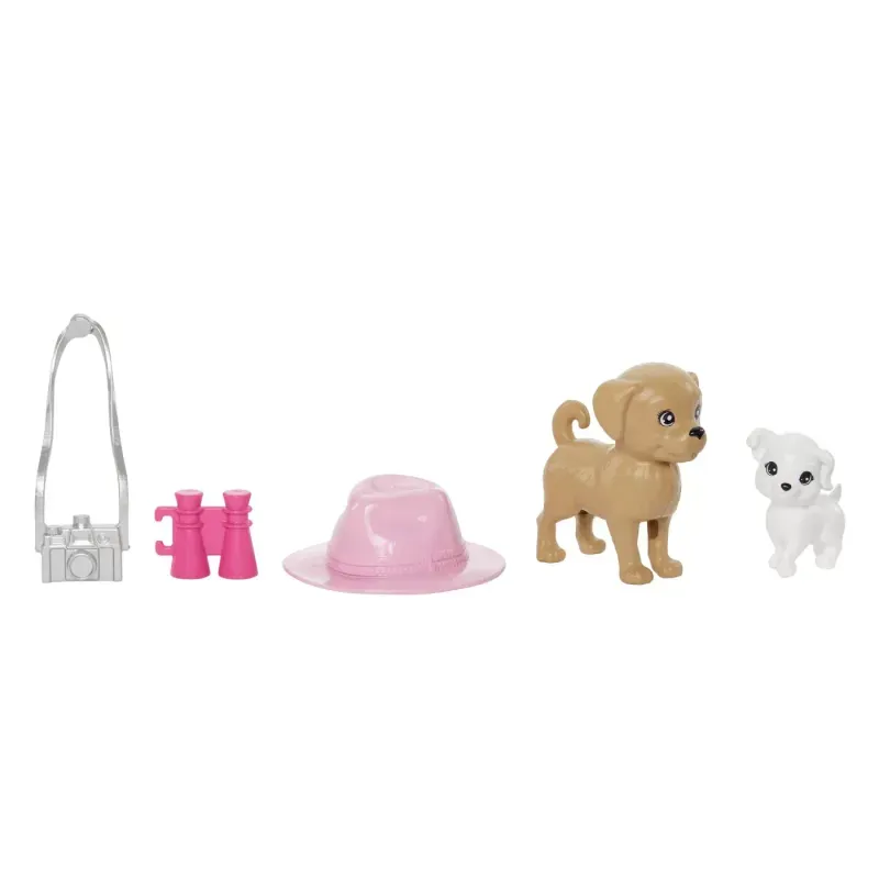 Jucarii, Copii si Bebe - Jucarii si jocuri - Papusi si accesorii - Papusi - Barbie Si Stacie Set Papusa Barbie Si Papusa Stacie Iubitoare De Catei - Infinity.ro