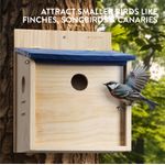 Petshop - Accesorii petshop - Culcusuri si custi - Tarcuri si colivii - Hranitoare de pasari Navaris, cu 2 pereti frontali, 21x18x26 cm, NAV000025VD001C - Infinity.ro