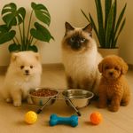 Petshop - Accesorii petshop - Castroane si adapatori - Set 2 boluri, pentru caini si pisici, cu suport, din otel inoxidabil, 34.5x16.5x8 cm, 0.8l - Infinity.ro