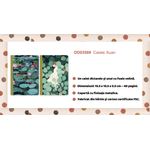 Carti si Birotica - Papetarie - Agende si calendare - Agende si carnete - Set 2 carnetele Xuan, Djeco - Infinity.ro