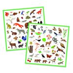 Jucarii, Copii si Bebe - Jucarii si jocuri - Jucarii & jocuri educative - Seturi de artizanat - Abtibilduri fauna europei, djeco - Infinity.ro