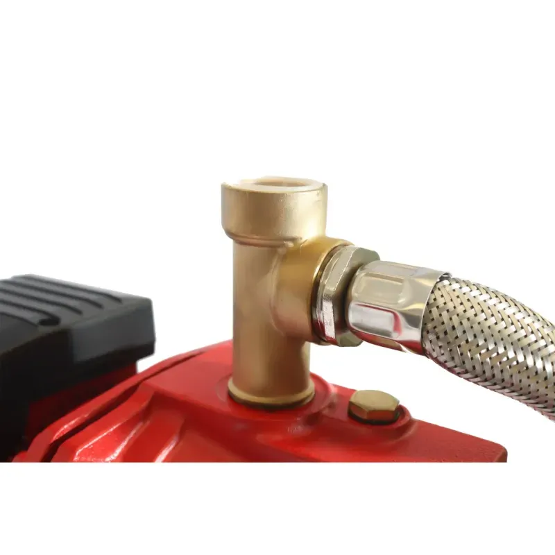 Casa si Gradina - Gradinarit si plante - Instalatii si accesorii pentru irigatii - Pompe apa - Hidrofor Elefant AUTOJET100S, 50 L, 550 W, 35 l/min - Infinity.ro