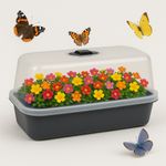 Casa si Gradina - Gradinarit si plante - Sere si solarii - Mini Sera Profesionala cu Capac si Aerisire Reglabila – 53x23x20 cm, Ideala pentru Rasaduri si Seminte - Infinity.ro