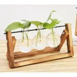 Casa si Gradina - Decoratiuni - Obiecte decorative - Accesorii decorative - Vaza hidroponica cu trei vase de sticla, Gonga® Transparent - Infinity.ro