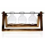 Casa si Gradina - Decoratiuni - Obiecte decorative - Accesorii decorative - Vaza hidroponica cu trei vase de sticla, Gonga® Transparent - Infinity.ro