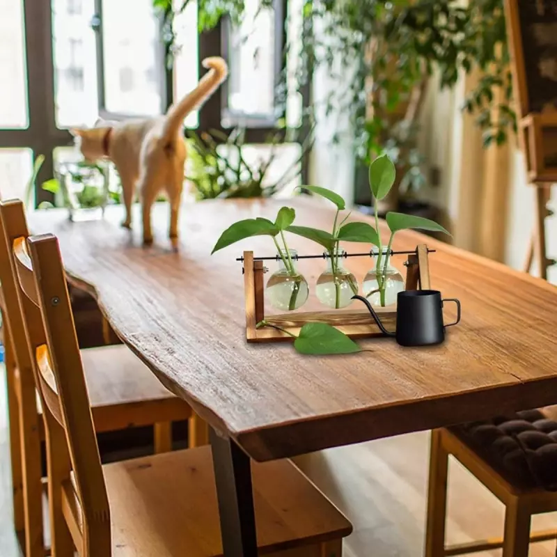 Casa si Gradina - Decoratiuni - Obiecte decorative - Accesorii decorative - Vaza hidroponica cu trei vase de sticla, Gonga® Transparent - Infinity.ro