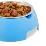 Petshop - Accesorii petshop - Castroane si adapatori - Bol de mancare pentru animale de companie cu adapator, Gonga® Turcoaz - Infinity.ro