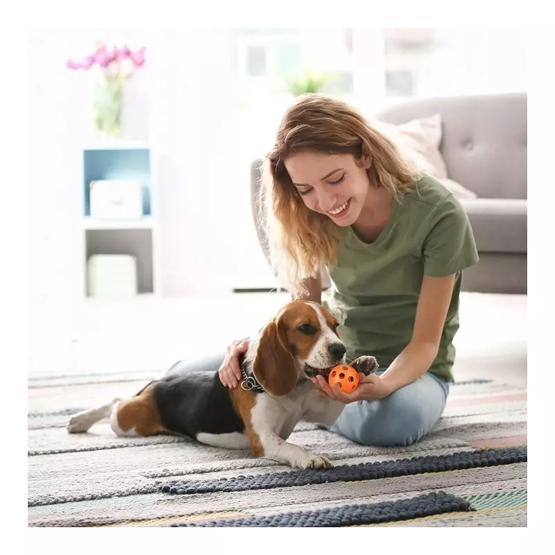 Petshop - Accesorii petshop - Jucarii animale - Jucarii interactive animale - Set 10 jucarii pentru catei, mixte, din bumbac si plastic, Gonga® Multicolor - Infinity.ro