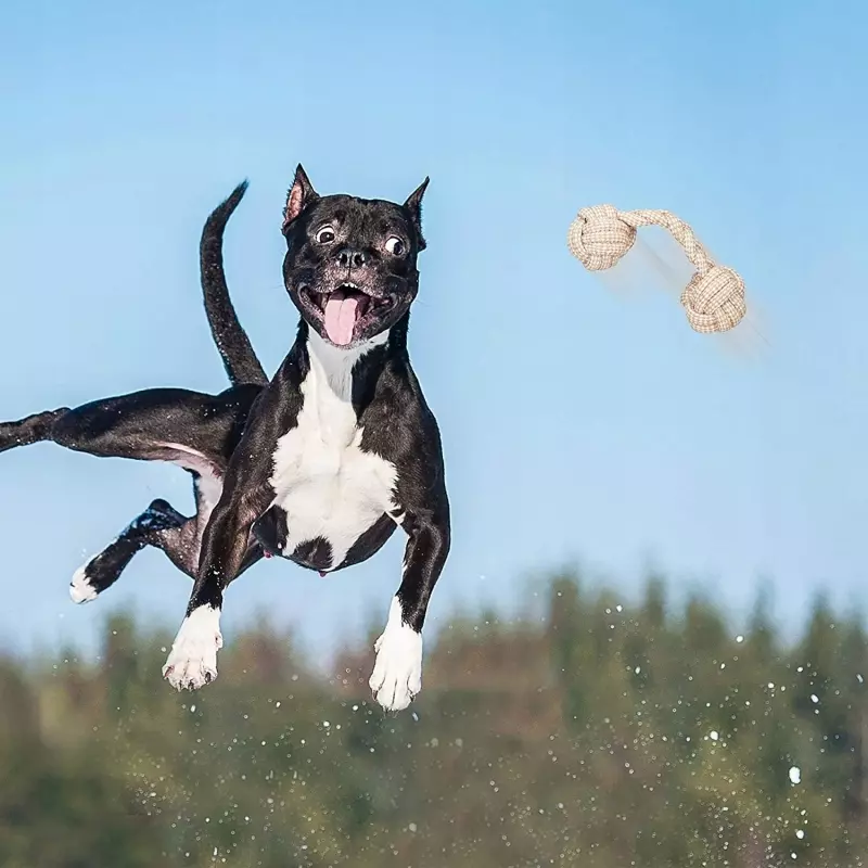 Petshop - Accesorii petshop - Jucarii animale - Jucarii interactive animale - Set 10 jucarii pentru catei, mixte, din bumbac si plastic, Gonga® Multicolor - Infinity.ro