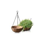 Casa si Gradina - Gradinarit si plante - Plante si ghivece - Ghivece si suporturi - Cos suspendat pentru flori, maro, otel + fibra nuca de cocos, cu lant si carlig, 25cm - Infinity.ro