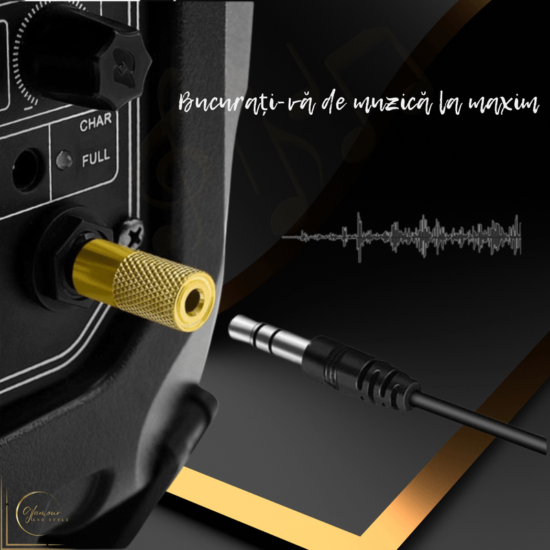 TV, Audio-Video si Foto - Audio Hi-Fi - Accesorii Audio Hi-Fi - Adaptor Audio Premium Stereo - Transmisie Stabila, Jack 3.5mm Mama la 6.35mm Tata, Conector Auriu, Sunet Hi-Fi - Infinity.ro