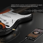 TV, Audio-Video si Foto - Audio Hi-Fi - Accesorii Audio Hi-Fi - Adaptor Audio Premium Stereo - Transmisie Stabila, Jack 3.5mm Mama la 6.35mm Tata, Conector Auriu, Sunet Hi-Fi - Infinity.ro