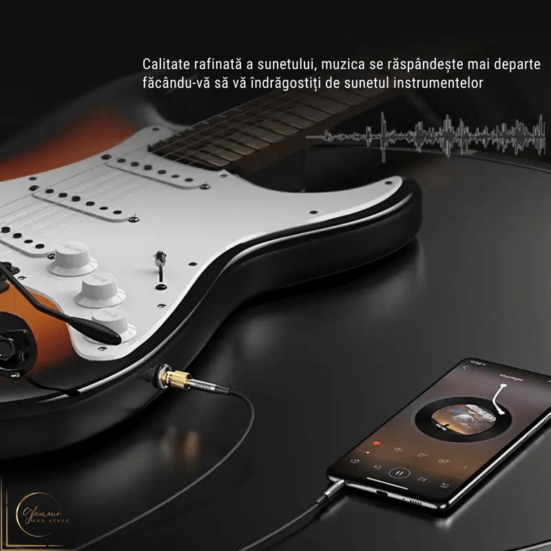 TV, Audio-Video si Foto - Audio Hi-Fi - Accesorii Audio Hi-Fi - Adaptor Audio Premium Stereo - Transmisie Stabila, Jack 3.5mm Mama la 6.35mm Tata, Conector Auriu, Sunet Hi-Fi - Infinity.ro