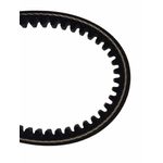 Casa si Gradina - Gradinarit si plante - Utilaje gradina - Consumabile si accesorii utilaje de gradina - Curea transmisie motosapa 17x864 - Infinity.ro