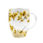 Casa si Gradina - Bucatarie si vesela - Cani si pahare - Cani si cesti - Cana cu flori uscate statice yellow, pereti dubli, sticla borosilicata, 350 ml, SZK103 - Infinity.ro