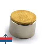 Casa si Gradina - Constructii - Feronerie si accesorii - Suruburi, dibluri si accesorii uz general - Magnet neodim disc 25x15mm puternic forta 22kg atractie pilitura tir ulei - Infinity.ro
