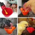 Casa si Gradina - Gradinarit si plante - Produse zootehnice - Adapatoare animale - Set 5 adapatoare automate pentru pasari de curte precum gaini, rate, gaste si curca, rosu, 30 ml - Infinity.ro