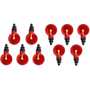 Casa si Gradina - Gradinarit si plante - Infinity.ro