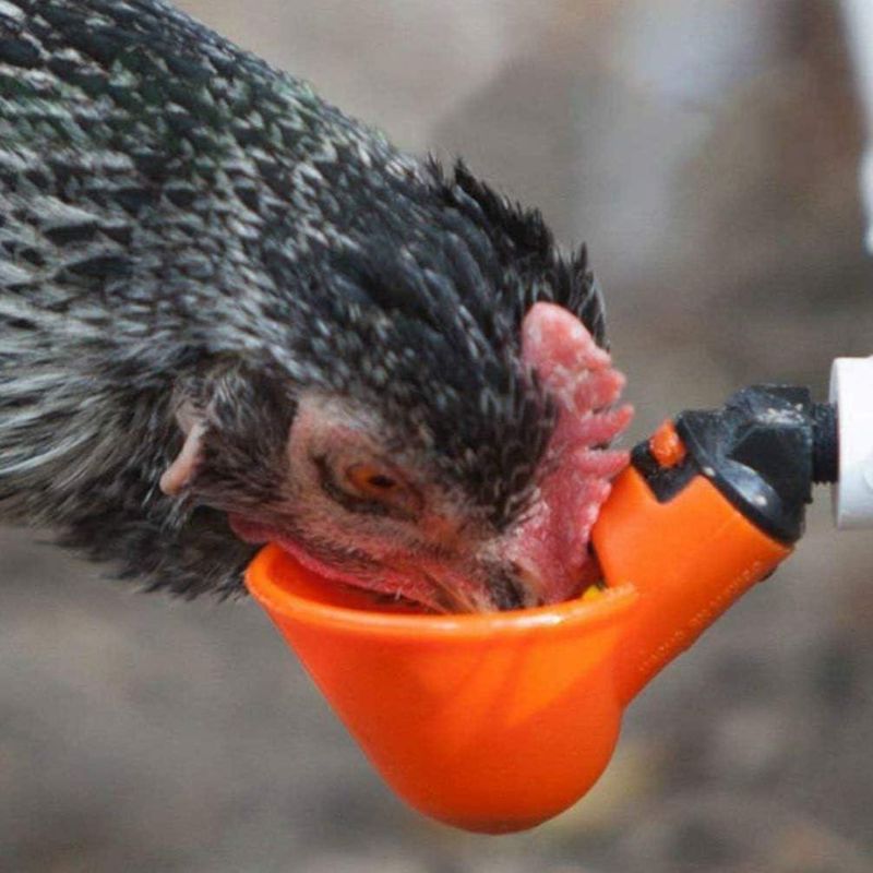 Casa si Gradina - Gradinarit si plante - Produse zootehnice - Adapatoare animale - Set 10 adapatoare automate pentru pasari, Plastic, 8.5 x 4.9 x 4.5cm, Rosu - Infinity.ro