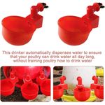 Casa si Gradina - Gradinarit si plante - Produse zootehnice - Adapatoare animale - Set 4 adapatoare automate pentru pasari, Plastic, 10.5 x 6.5 x 4 cm, Rosu - Infinity.ro