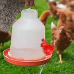 Casa si Gradina - Gradinarit si plante - Produse zootehnice - Adapatoare animale - Set 4 adapatoare automate pentru pasari, Plastic, 10.5 x 6.5 x 4 cm, Rosu - Infinity.ro