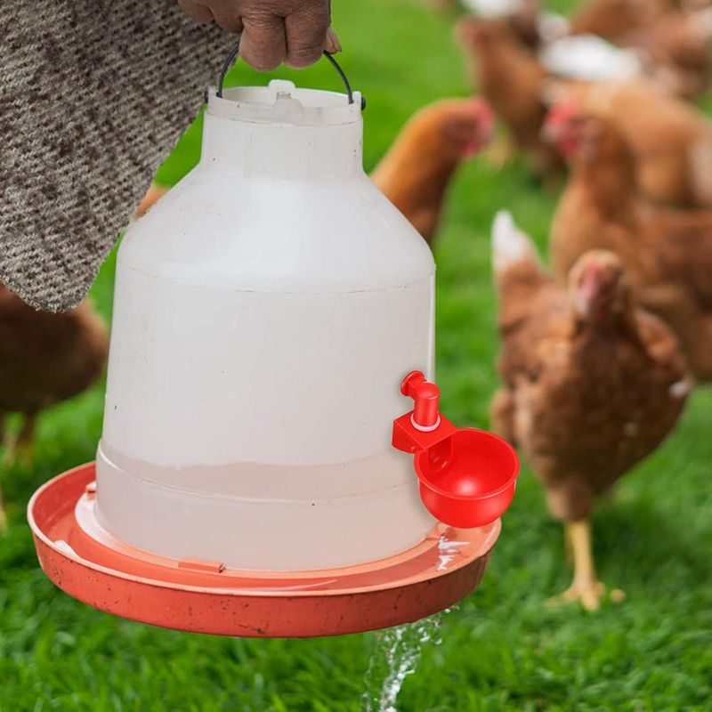 Casa si Gradina - Gradinarit si plante - Produse zootehnice - Adapatoare animale - Set 4 adapatoare automate pentru pasari, Plastic, 10.5 x 6.5 x 4 cm, Rosu - Infinity.ro