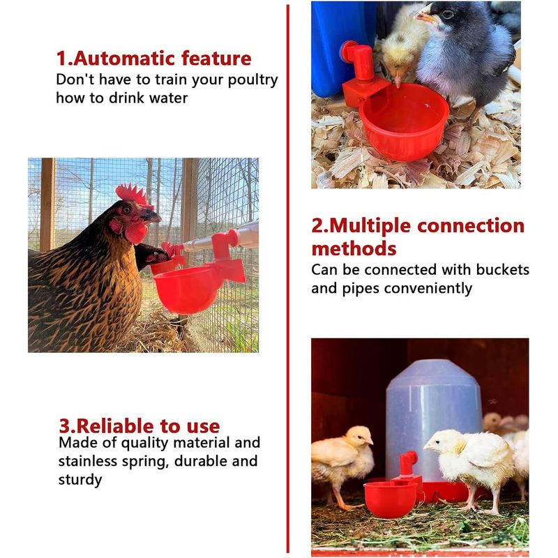 Casa si Gradina - Gradinarit si plante - Produse zootehnice - Adapatoare animale - Set castroane pentru adapatori automate de pui, Rosu, 6 bucati - Infinity.ro