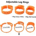 Petshop - Articole imbracaminte - Incaltaminte animale - Set 100 inele ajustabile pentru pasari, Plastic, Portocaliu - Infinity.ro