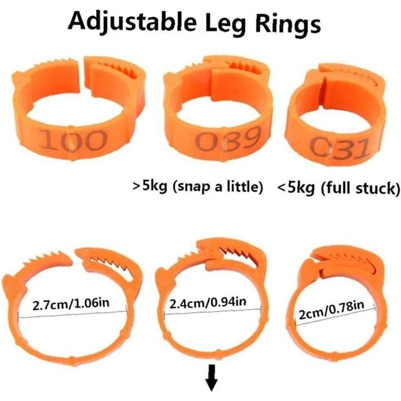 Petshop - Articole imbracaminte - Incaltaminte animale - Set 100 inele ajustabile pentru pasari, Plastic, Portocaliu - Infinity.ro