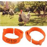 Petshop - Articole imbracaminte - Incaltaminte animale - Set 100 inele pentru pasari, Plastic, 1-100, Portocaliu - Infinity.ro