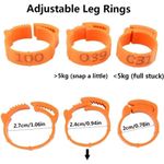 Petshop - Articole imbracaminte - Incaltaminte animale - Set 100 inele pentru pasari, Plastic, 1-100, Portocaliu - Infinity.ro