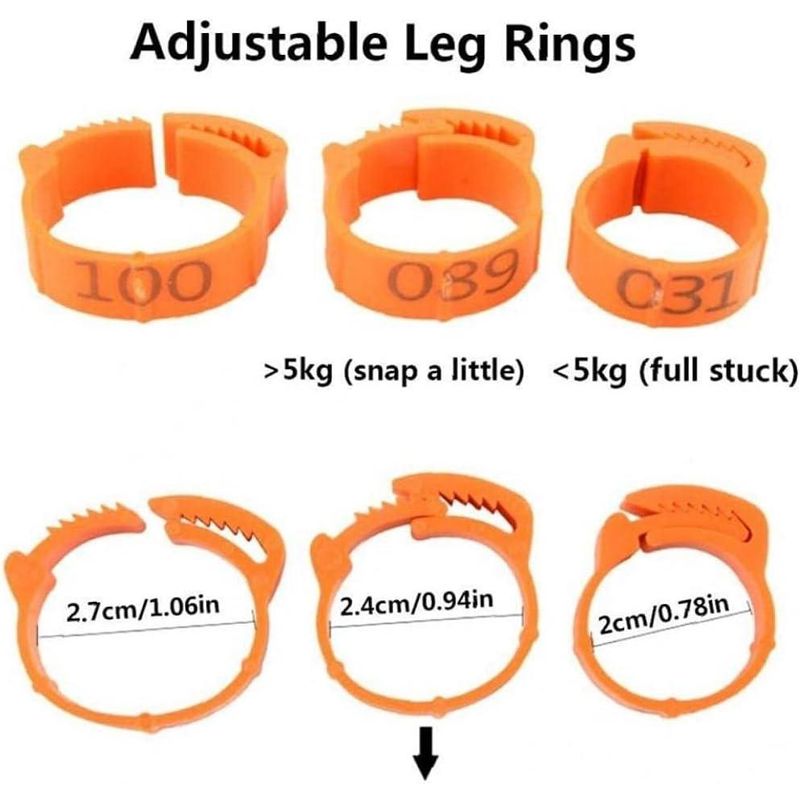 Petshop - Articole imbracaminte - Incaltaminte animale - Set 100 inele pentru pasari, Plastic, 1-100, Portocaliu - Infinity.ro