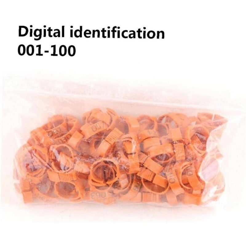 Petshop - Articole imbracaminte - Incaltaminte animale - Set 100 inele pentru pasari, Plastic, 1-100, Portocaliu - Infinity.ro