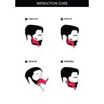 Ingrijire personala si Cosmetice - Ingrijire personala - Ingrijire par - Perii de par si piepteni - Set profesional pieptene / sablon transparent contur barba & mustata + Brici profesional pentru barbierit si - Infinity.ro