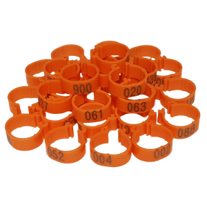 Petshop - Articole imbracaminte - Incaltaminte animale - Infinity.ro